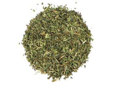 Dandelion leaf from Albania (taraxacum)
