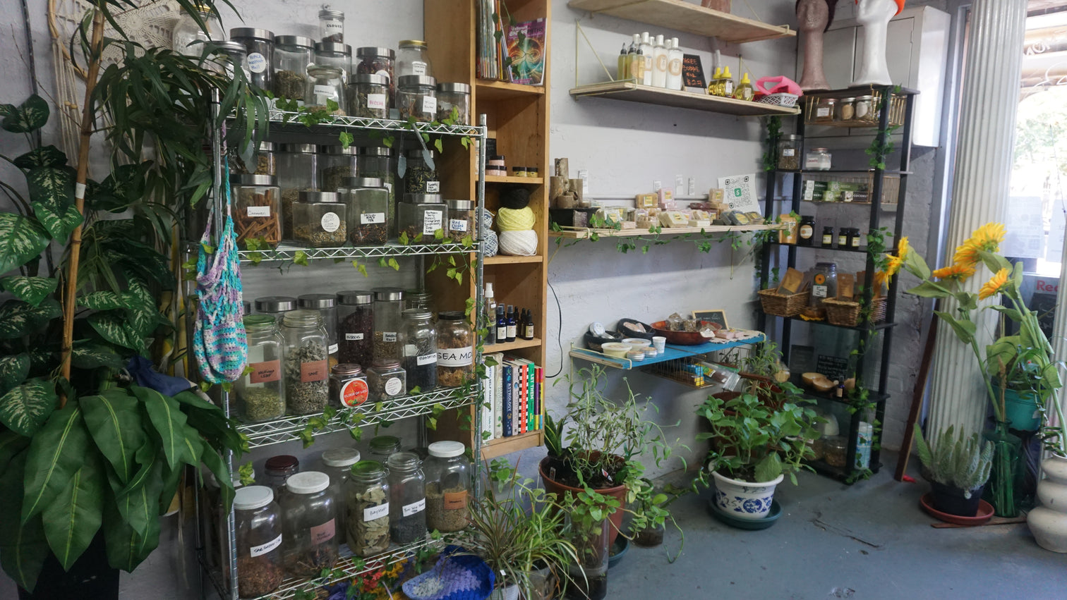 Natural Wellness & Apothecary Products – pwcollections