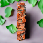 Dragons Blood(Body)