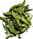 Lemon verbena from Morocco (Aloysia triphylla )